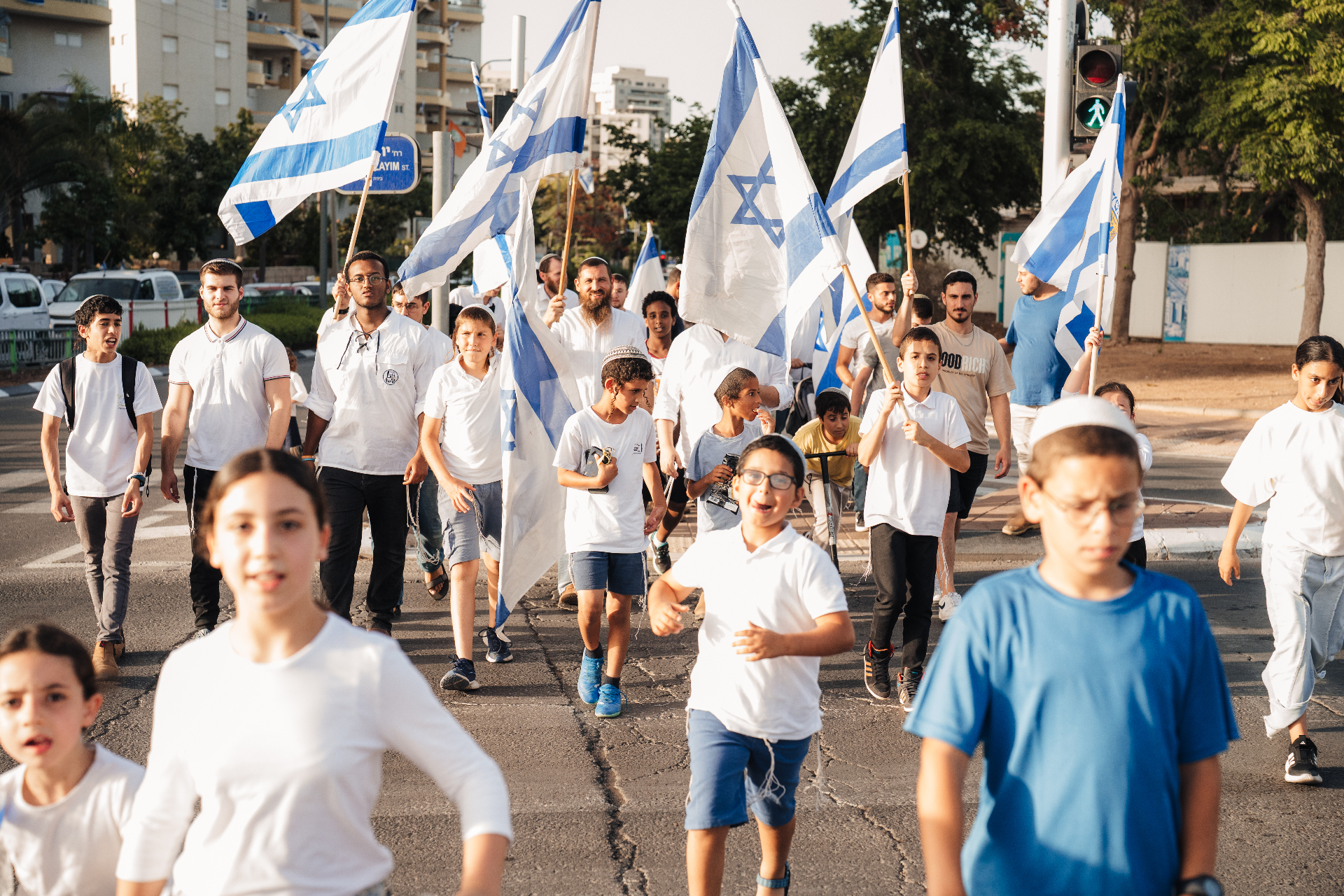 צעדת דגלים